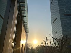 -LUNEURS月乐诗·法式冰淇淋(环贸店)