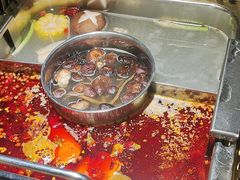 -蜀九鼎毛肚火锅(惠安店)