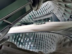 -凤凰中心