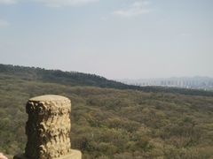 -灵谷景区