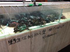 -海盗餐厅
