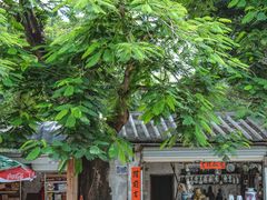 -揭阳学宫(榕城区)