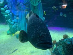 -沈阳海洋探索中心