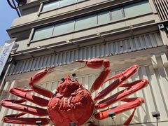 -蟹道乐(道顿堀本店)