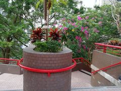 -香港大学