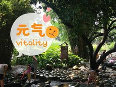 -成都市活水公园