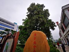 -陈李济中药博物馆