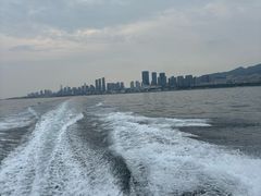 -海合安青岛极地海洋公园