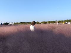 -嘉北郊野公园