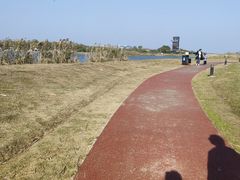 -春花秋色城市公园