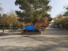 -北陵公园