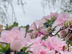 -上海滨江森林公园