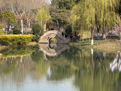 -圩墩遗址公园