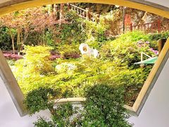 -十八棵（老龙井）御茶园(老龙井店)