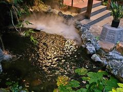 -花锦堂·隐庐