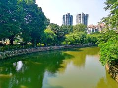 -晓港公园