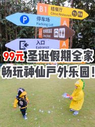 -前小桔亲子创意农场·草莓采摘·露营烧烤