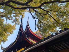 -西园戒幢律寺