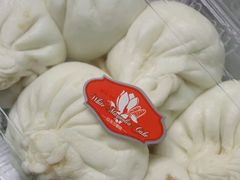 鲜笋肉包-白玉兰食品(甜云店)