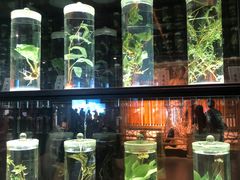 -广东中医药博物馆