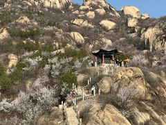 -北京凤凰岭