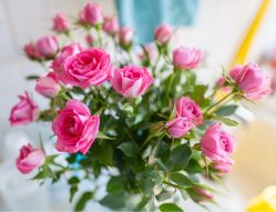 -润泽瑞尼丝医疗美容医院