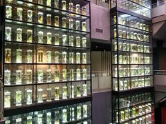 -广东中医药博物馆
