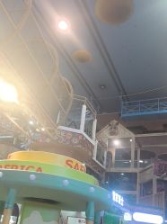 -卡通尼·Safari非洲探索乐园·生日会(金桥国际商业广场店)