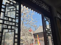-长春观