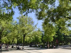 -城市运动公园(未央区)