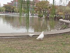 -上海交通大学(闵行校区)