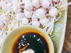 芥末白灼八爪鱼-贞姨美食·老字号海鲜大排档