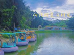 -松山湖南湖湾露营营地