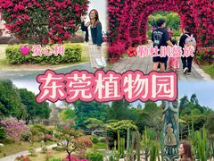 -东莞植物园
