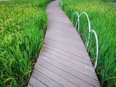 -证大喜玛拉雅中心