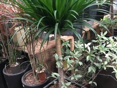-秦美花卉(天朗·莱茵小城2期店)