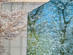 -龙美术馆西岸馆-停车场