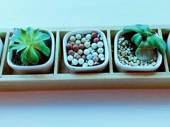 -ID.PHOTO照相馆(嘉里企业中心店)