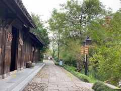 -西溪国家湿地公园