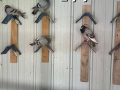 -童学园幼儿园(良庄西街)