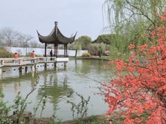 -苏州上方山国家森林公园