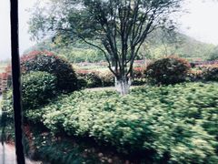 -狼山风景名胜区