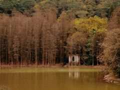 -滴水岩森林公园