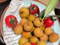 -季季山•云南野生菌火锅(上海首店)