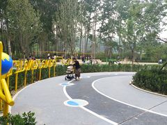 -仁和公园(顺义区)