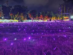-广西壮族自治区药用植物园