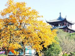 -白马涧龙池景区