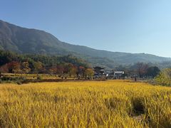 -塔川景区