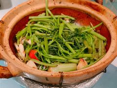 -煲煲好(朝阳门店)