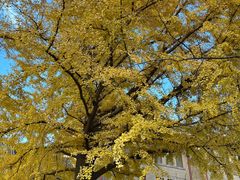-山东大学(趵突泉校区)